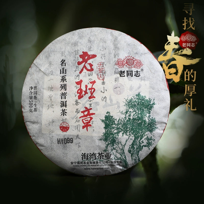 Old Comrade, Bay Tea Industry, Pu'er Tea, Raw Tea 2022, Old Banzhang, Famous Mountain Ancient Tree Tea 500g