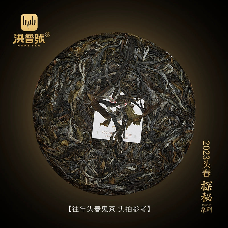 Hongpu No. 2023 Spring Quest Tea Ghost Tea Raw Tea China-Myanmar Border Ancient Tree Pure Material Pu'er Tea Menghai Production Area