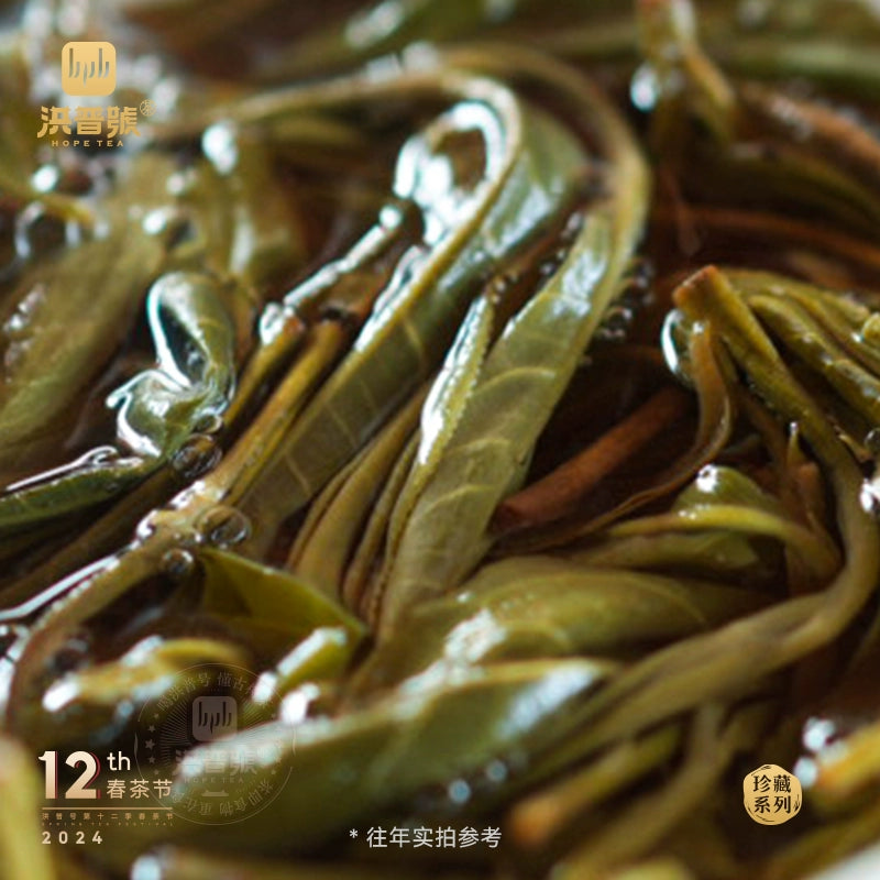 Hongpu No. 2024 Spring Collection Abuse Field Mint Pond Raw Tea Yunnan Yiwu High Pole Ancient Tree Pure Material