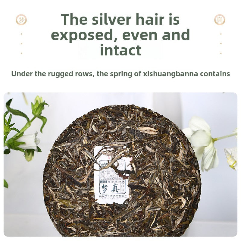 [Group] 2021 Chen Sheng No. 1 Spring Cake Mengzhen Pu'er Tea Raw Tea 357g/cake